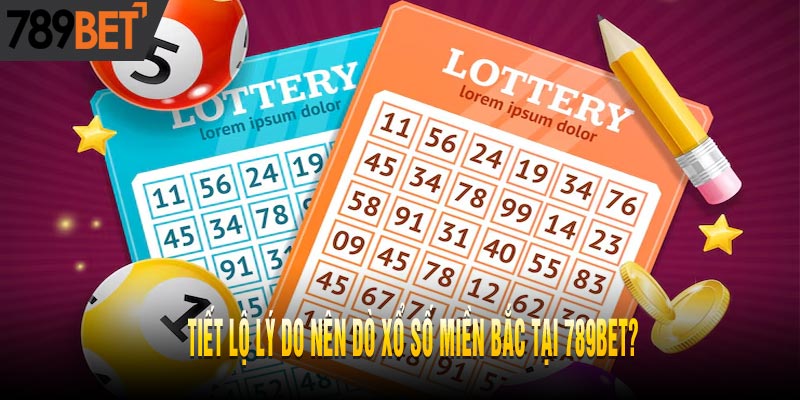 Mẹo Dò Xổ Số Miền Bắc Chắc Thắng Từ Chuyên Gia